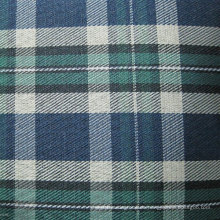 Oxford 600d Plaid Druck Polyester Stoff (XL-X7)